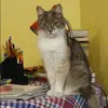 Отзыв от Галя Николаева